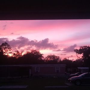 Meet your Posher, Trinity